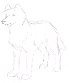 Draw a wolf